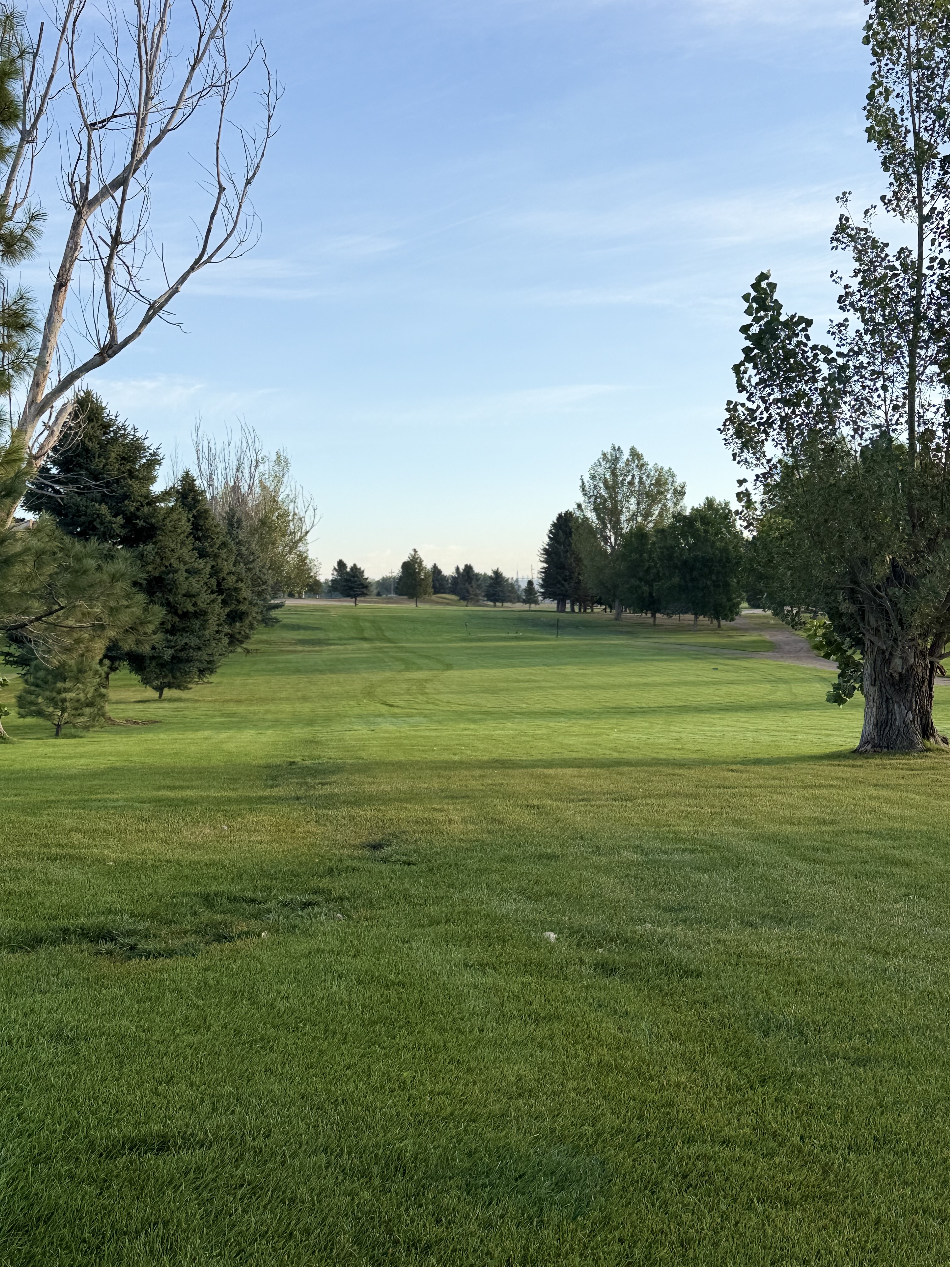 Hole 8
